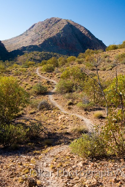 Larapinta_20080606_294 copy.jpg - The Trail, east of Serpentine Gorge